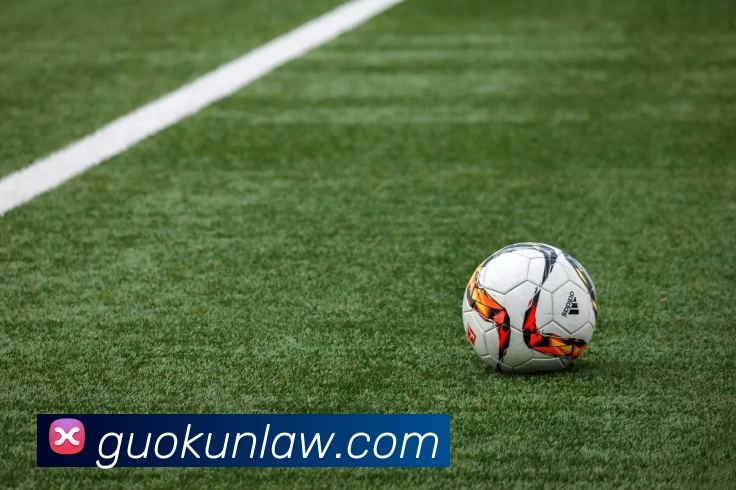 mksports体育APP 封面图